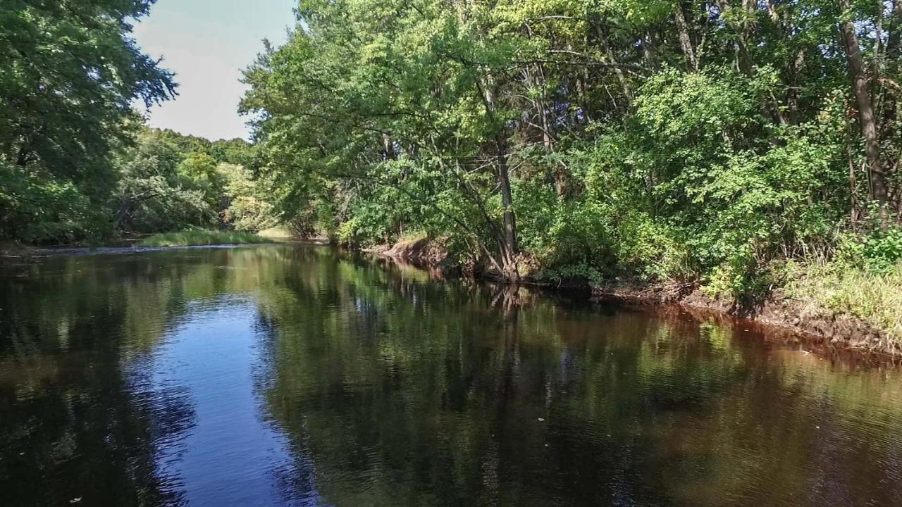 Bessemer Black River Crossing Bed & Breakfast المظهر الخارجي الصورة